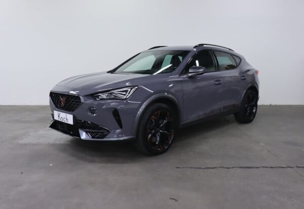 Cupra Formentor 2,0 TSi DSG 4x4